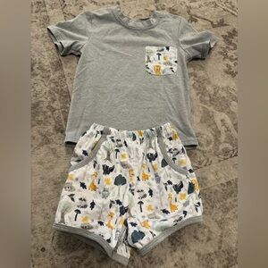 Gray Zoo Animal Boutique Outfit